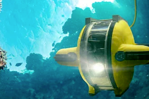 Autonomous Underwater Vehicles