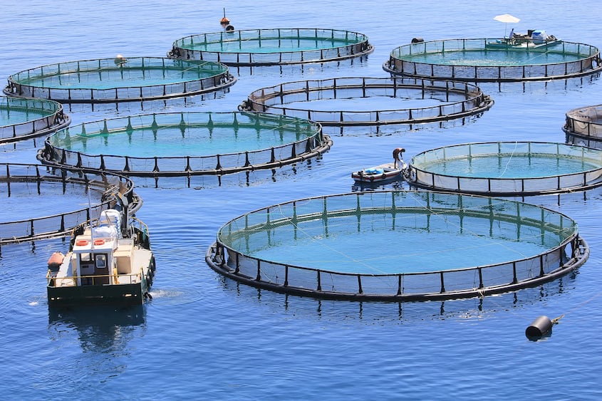 underwater-connectors