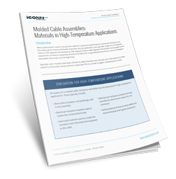 Download the iCONN Systems Whitepaper